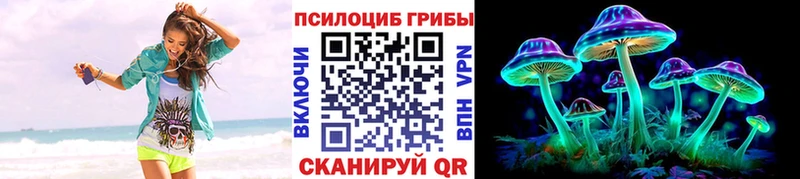 Псилоцибиновые грибы MAGIC MUSHROOMS  купить наркотик  mega ссылки  Болотное 